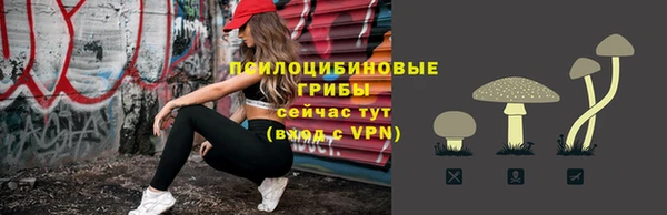 герыч Вяземский