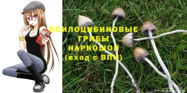 герыч Вяземский